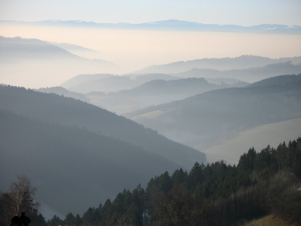 Inversionswetterlage im Schwarzwald