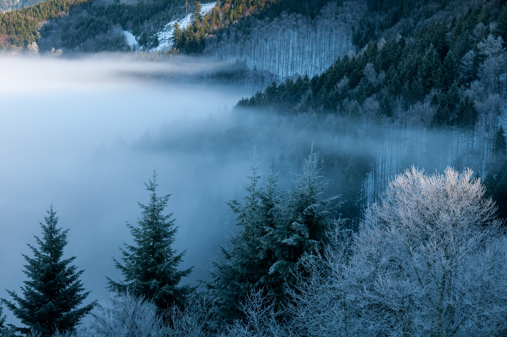 Inversionswetterlage im Schwarzwald