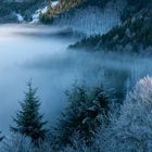 Inversionswetterlage im Schwarzwald