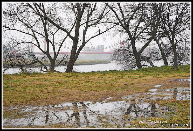 INVIERNO