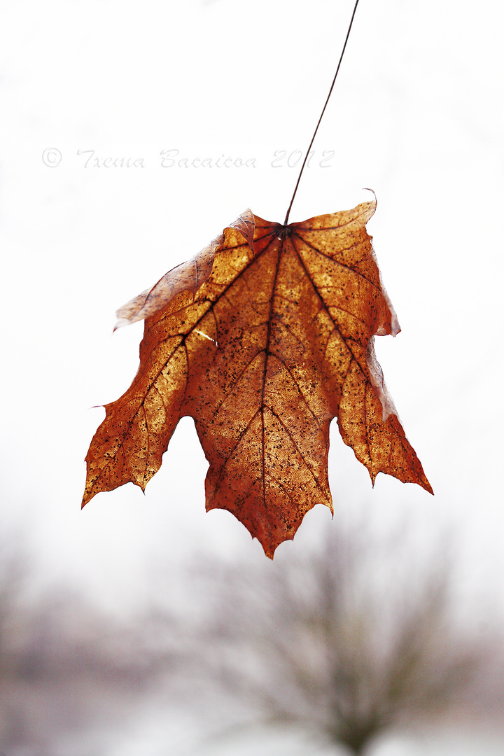 Invierno