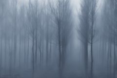 Invierno azul