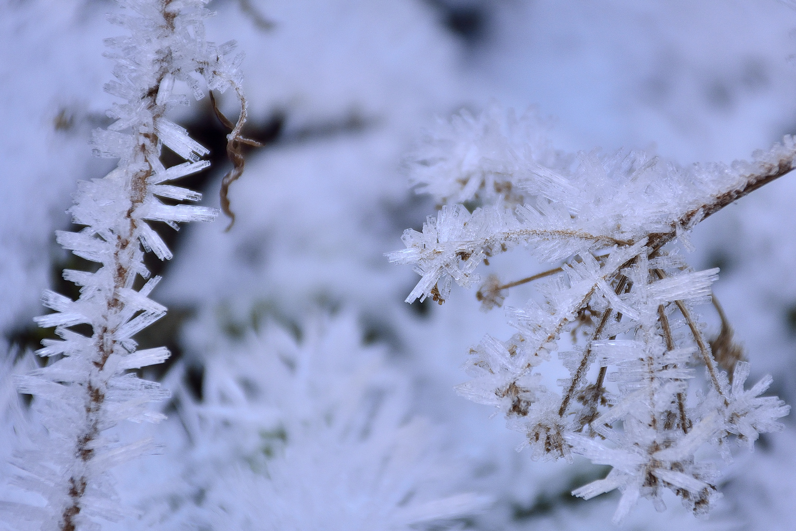 Invierno