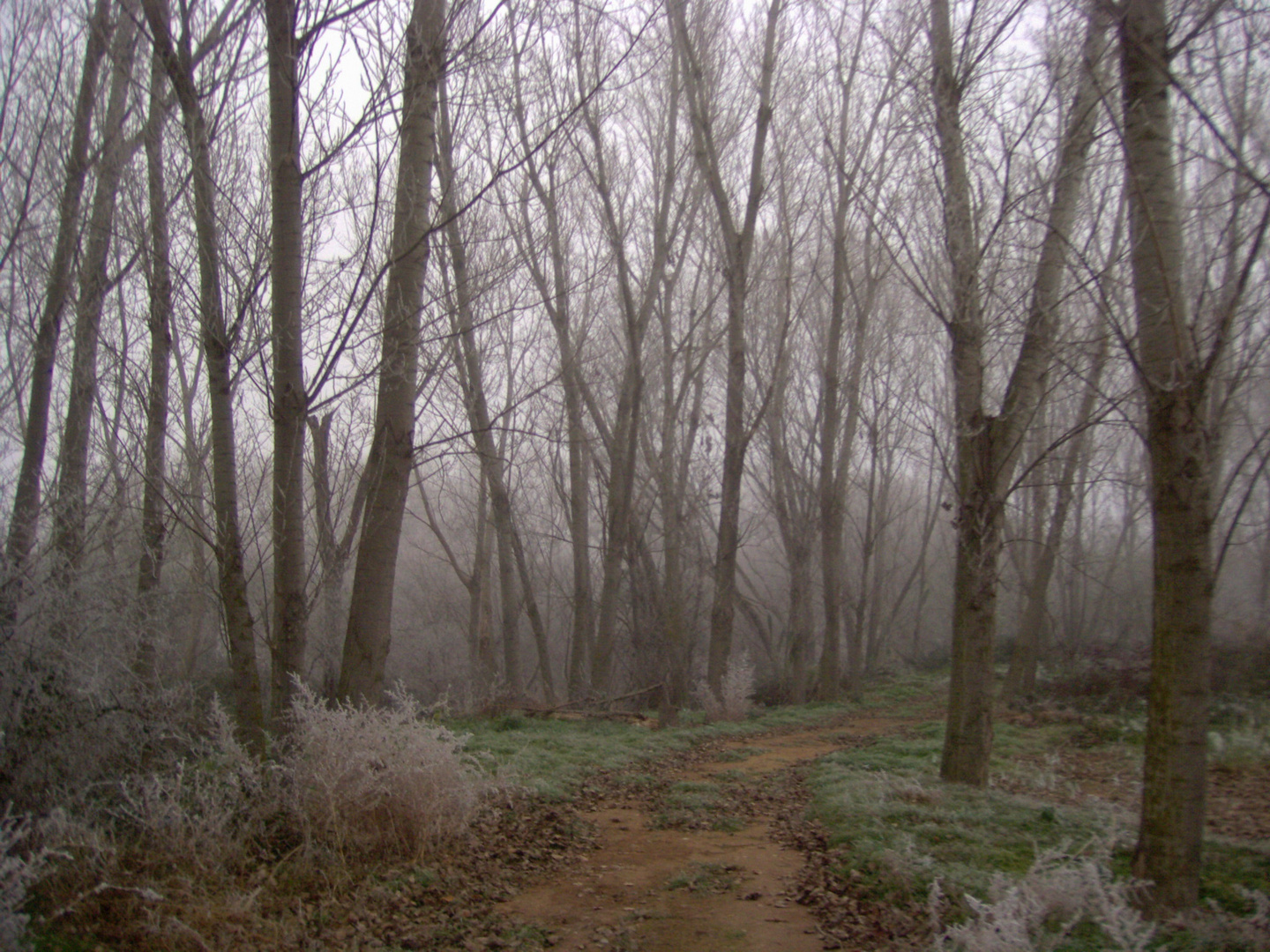 invierno