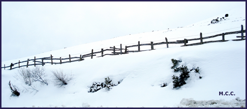 Invierno de nieves, año de bienes.