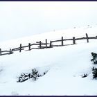 Invierno de nieves, año de bienes.