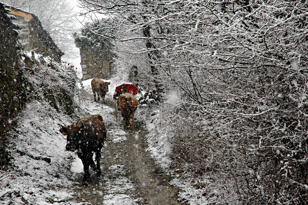 invierno en Aller