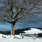 Invierno en Austria