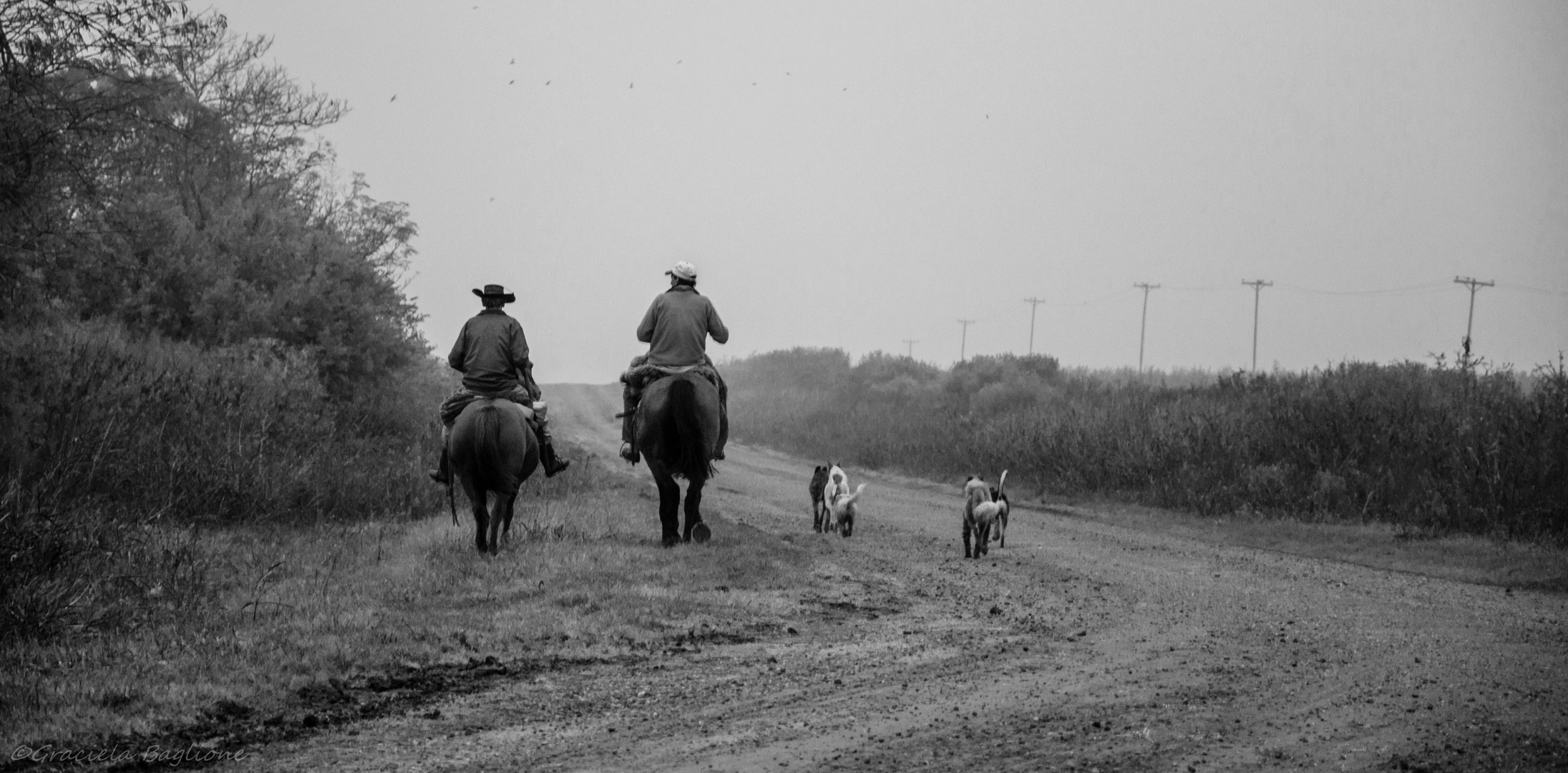 Invierno en el campo