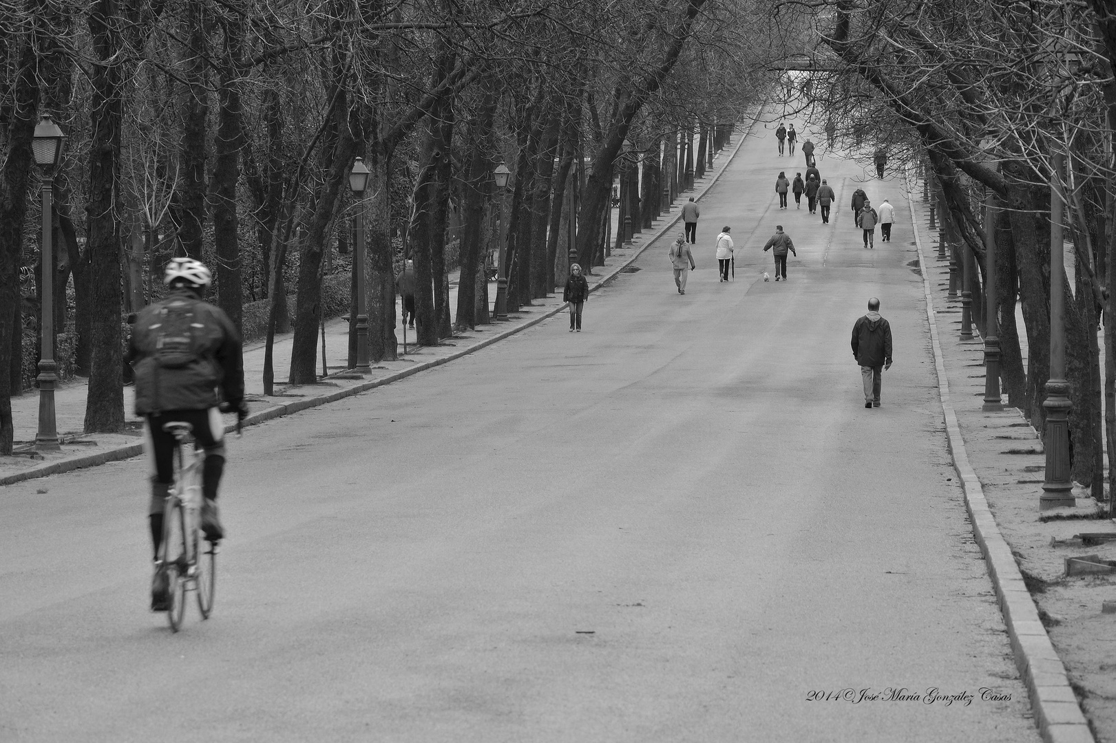 Invierno en El Retiro 3