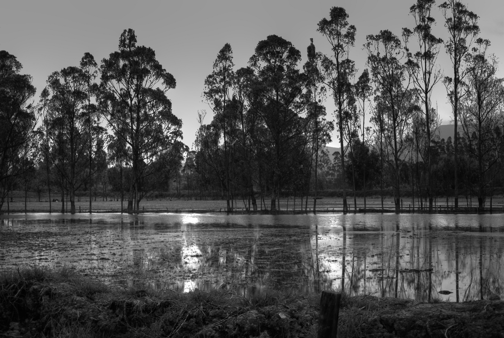 Invierno en la Sabana 3