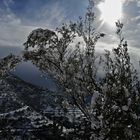 Invierno en mi tierra