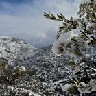 Invierno en mi tierra