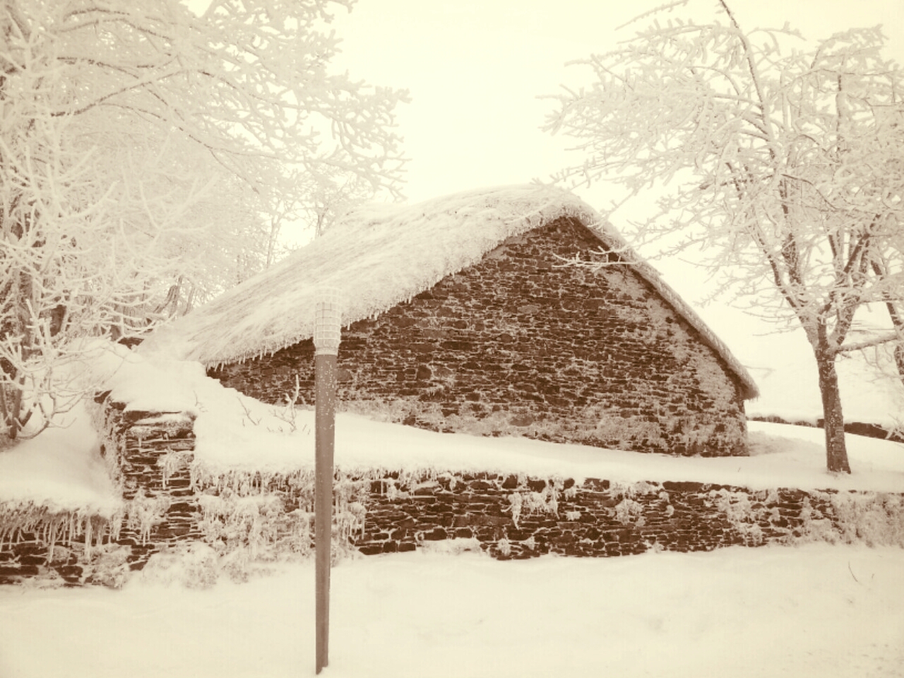 invierno en sepia