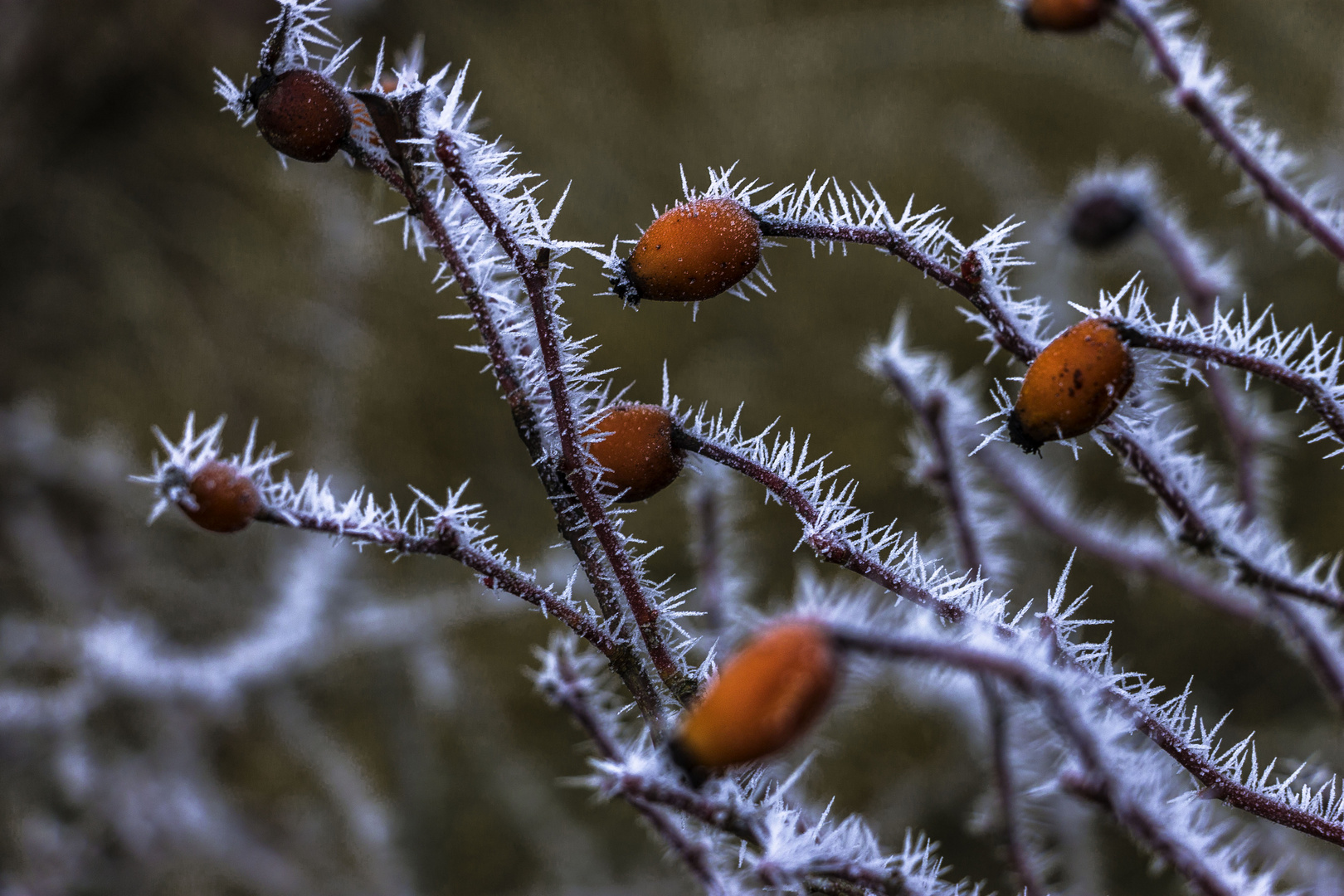 Invierno