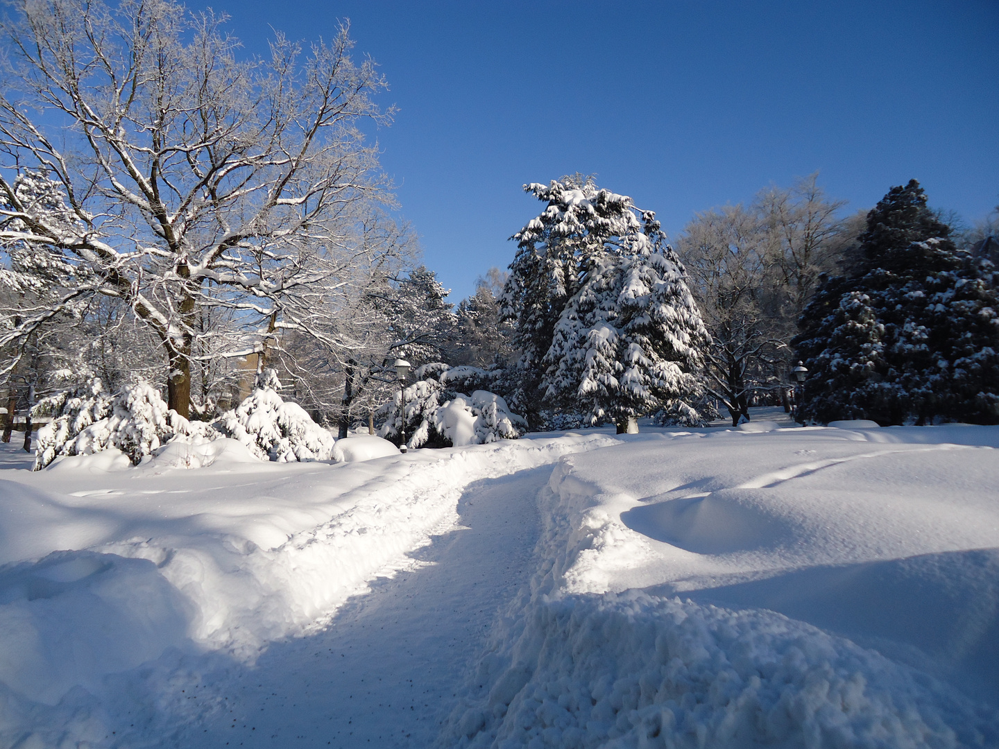 Invierno - Winter 2011