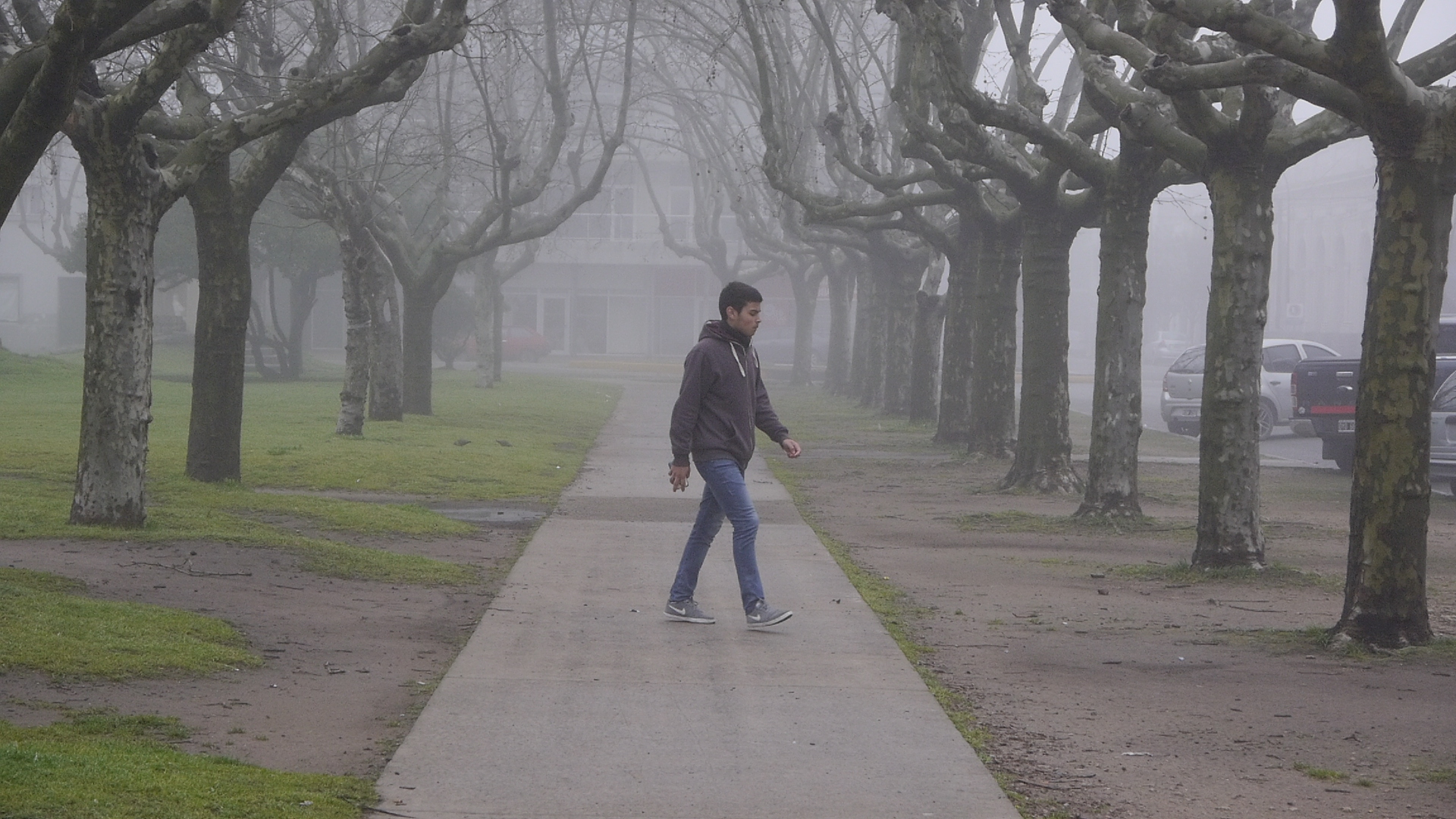 INVIERNO Y NIEBLA