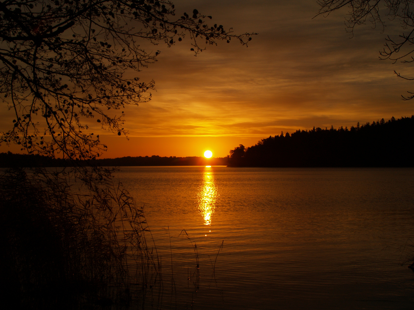 INVIERNO Y SOL