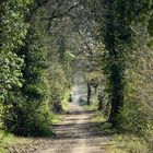 Invitation à la promenade