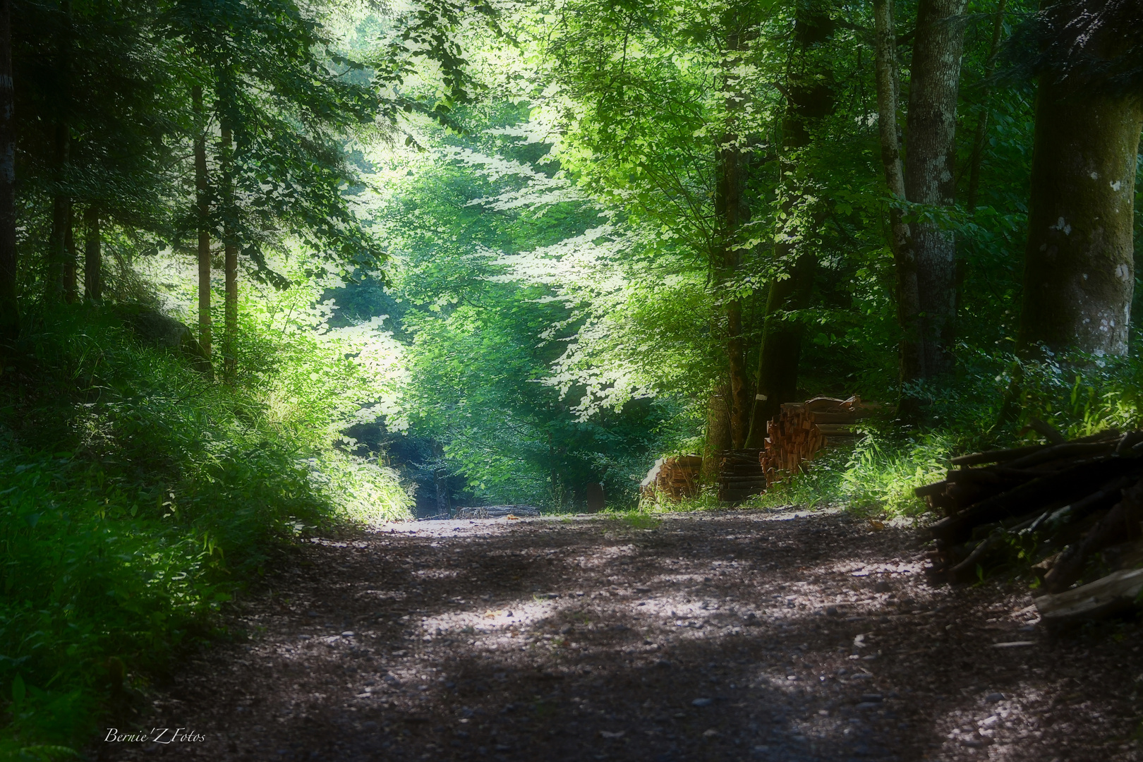 Invitation à la promenade