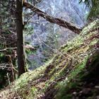 Inzell Am Berg Falkenstein