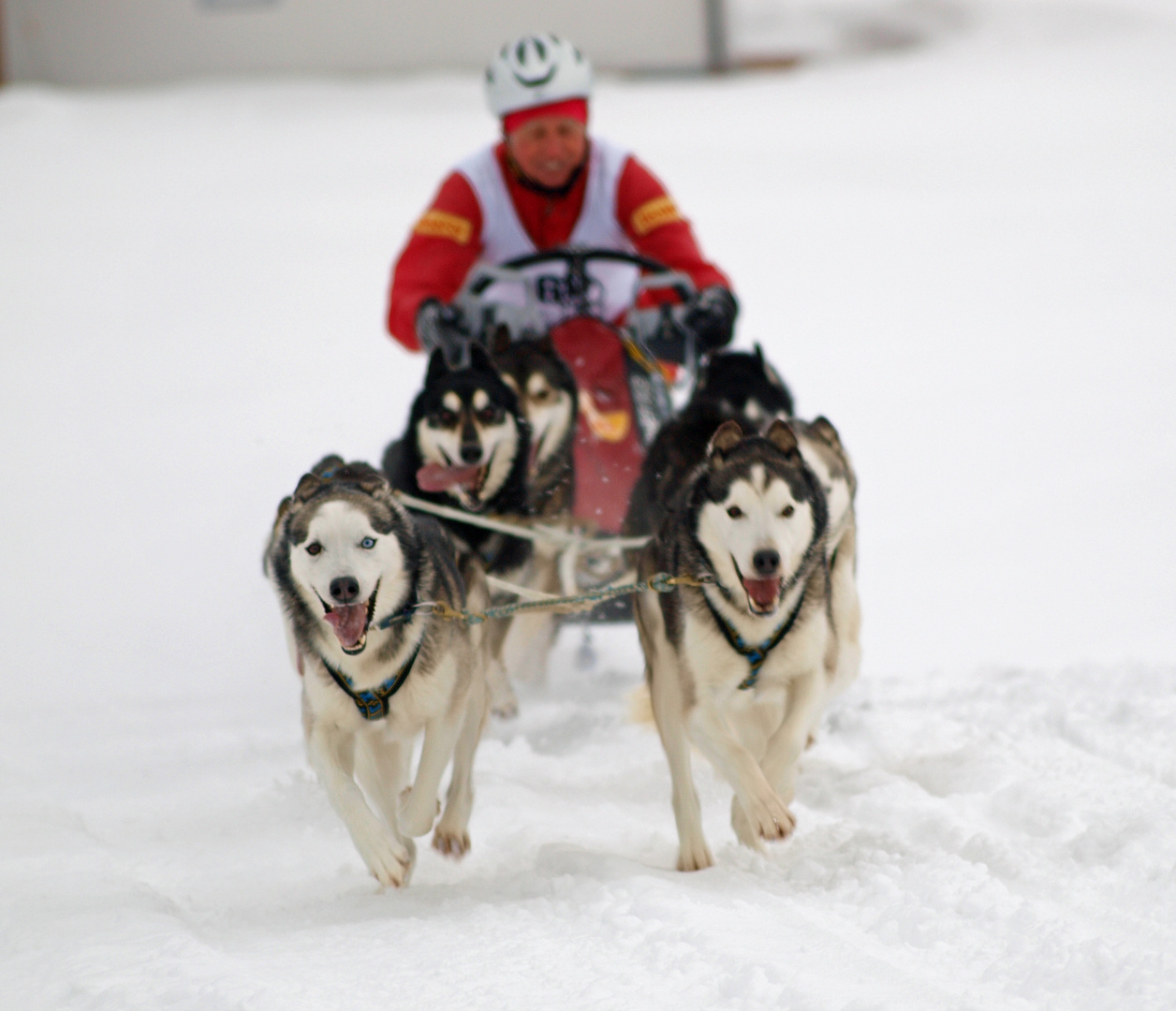 Inzell Feb. 2015