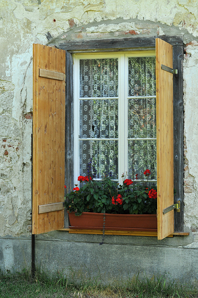 Inzigkofen, Kräutergarten: Geranien – Fenster