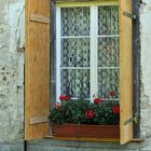 Inzigkofen, Kräutergarten: Geranien – Fenster