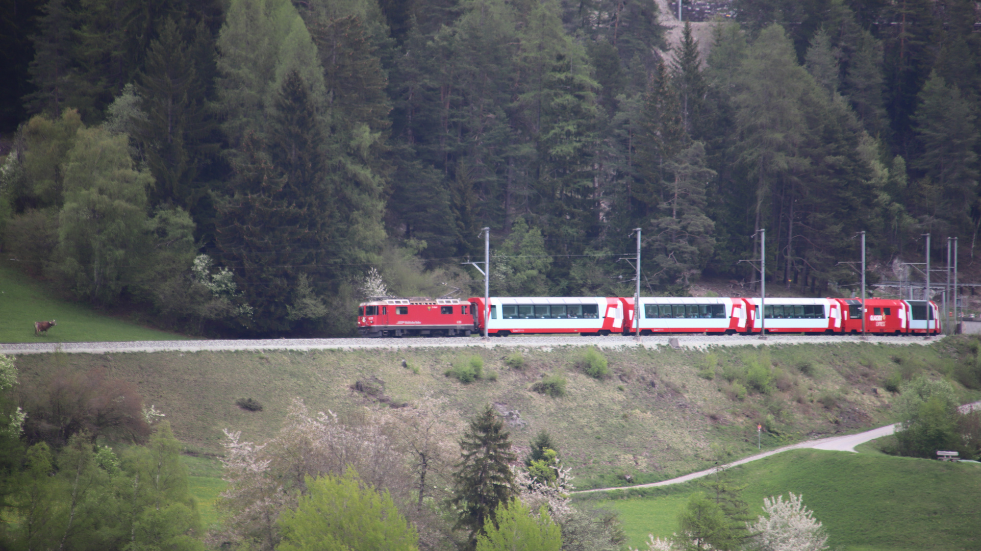 Inzwischen nähert sich der Glacier-Express Filisur.....