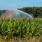 Inzwischen sicher schon Biogas