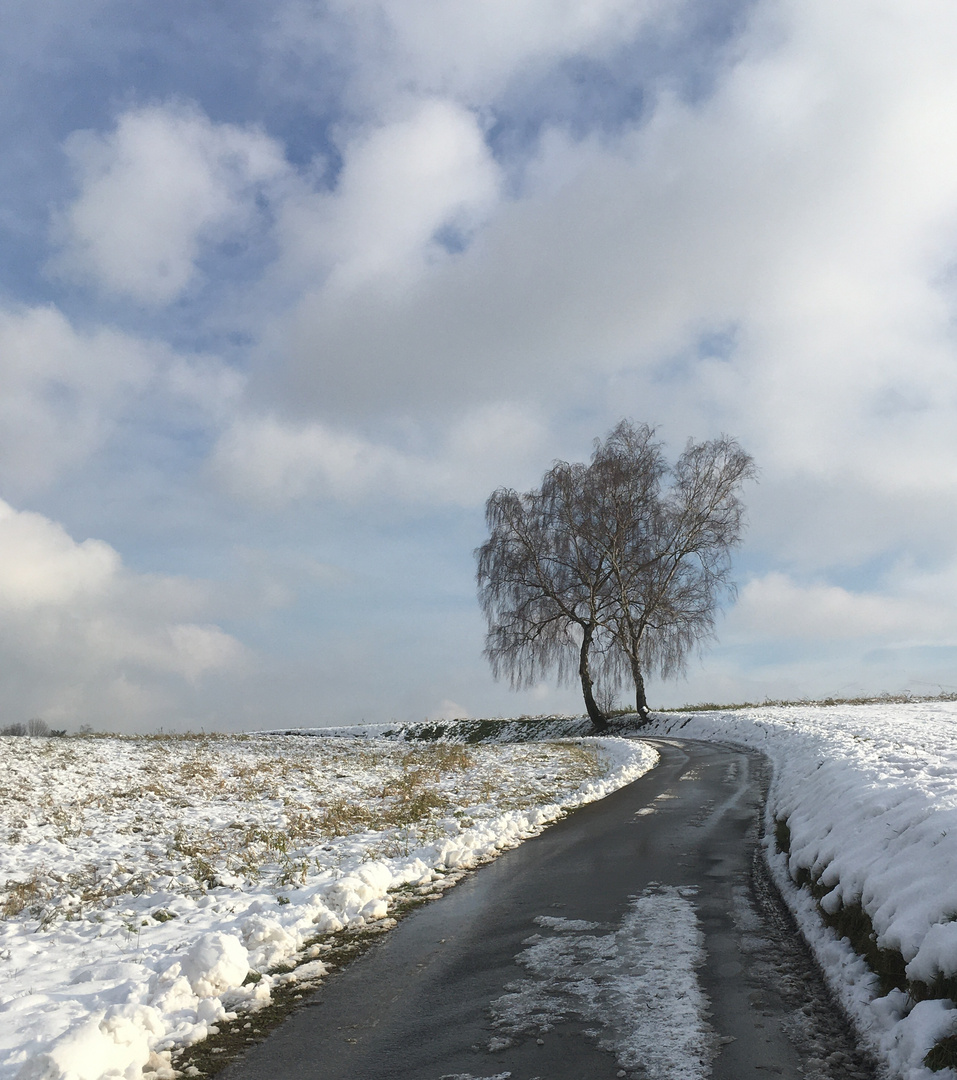 inzwischen taut es