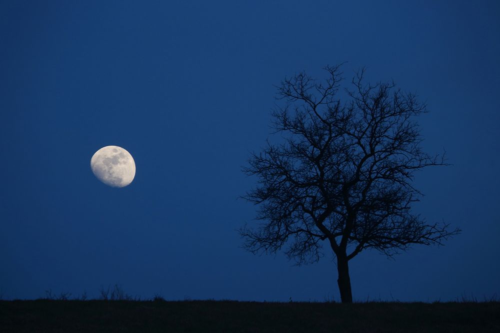 io e la luna