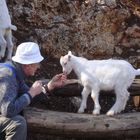 io e l'agnello