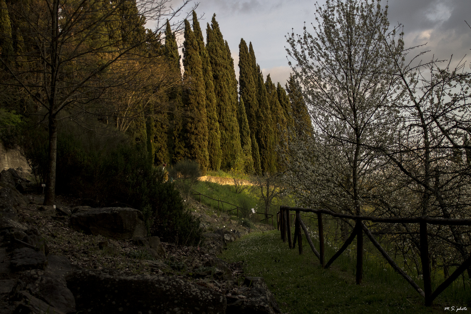 "Io non amo l'uomo di meno, ma la Natura di più." (George Gordon Byron)