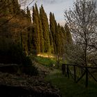 "Io non amo l'uomo di meno, ma la Natura di più." (George Gordon Byron)