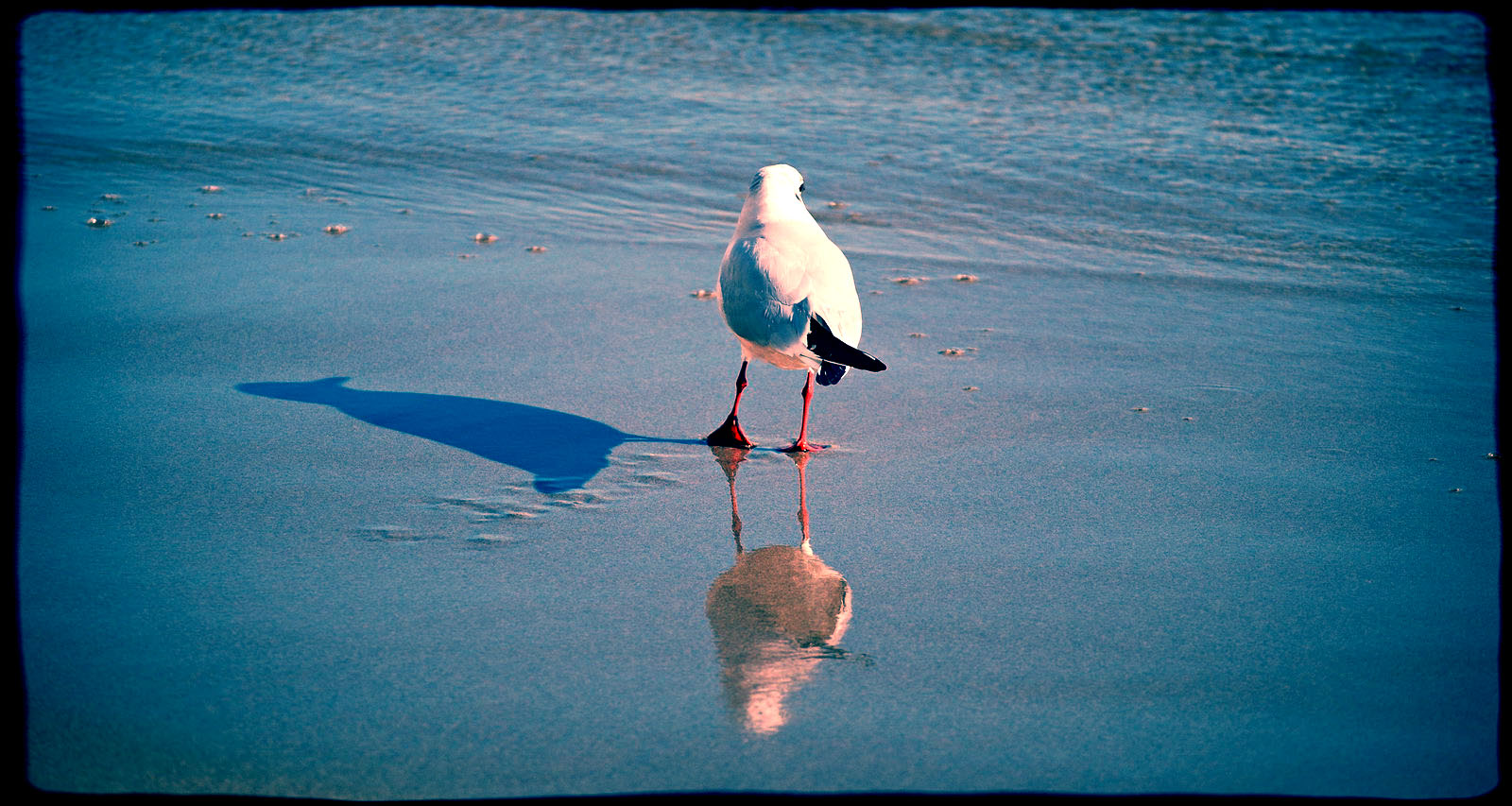 io...l'ombra...il riflesso....