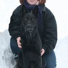 User Profile Photo
