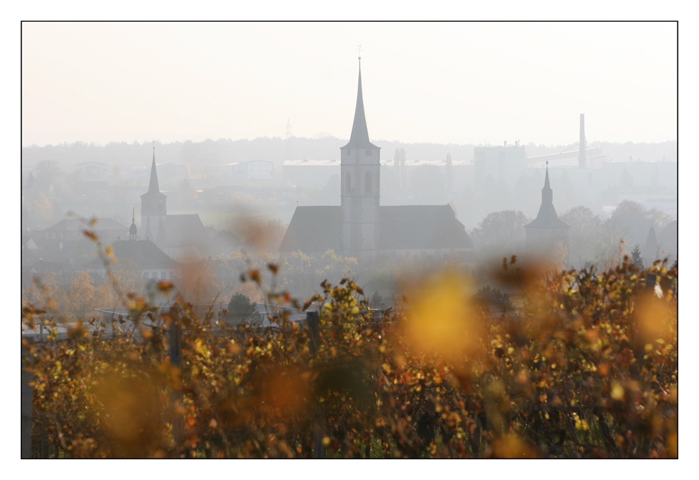 Iphofen im Abenddunst