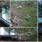 iPhone im Wald