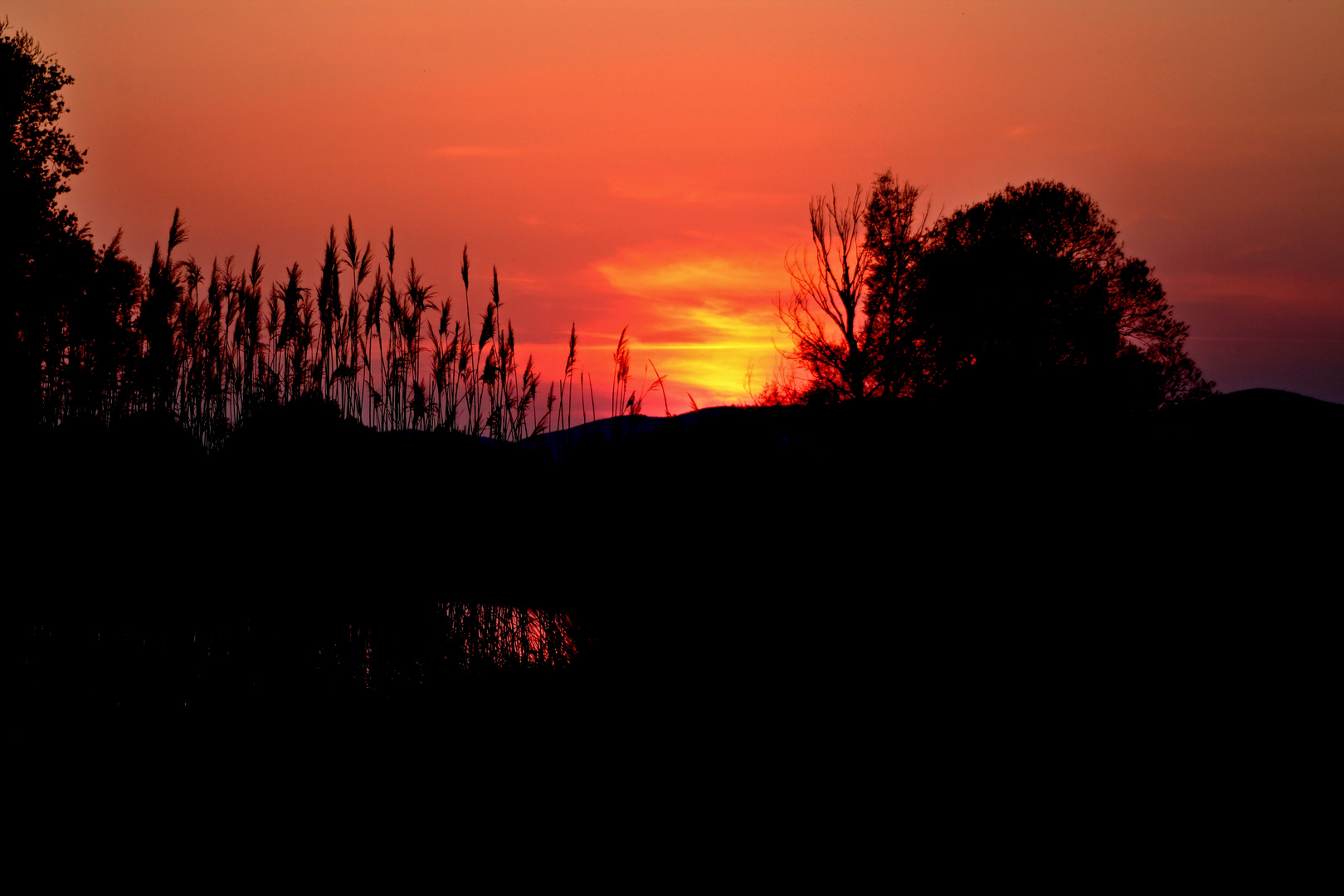 Ipoly - Sonnenuntergang im Frühling 2