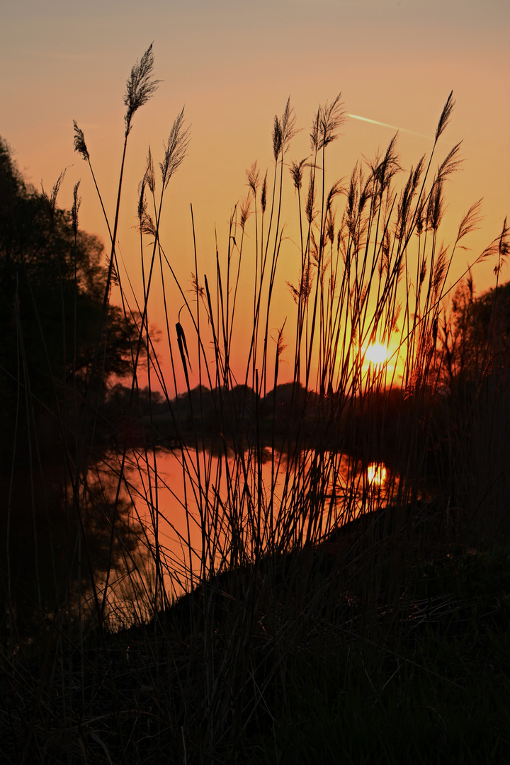 Ipoly - Sonnenuntergang im Frühling 3