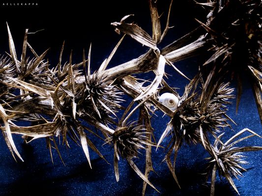 ipotetica disponibilità ad autodistruggersi.