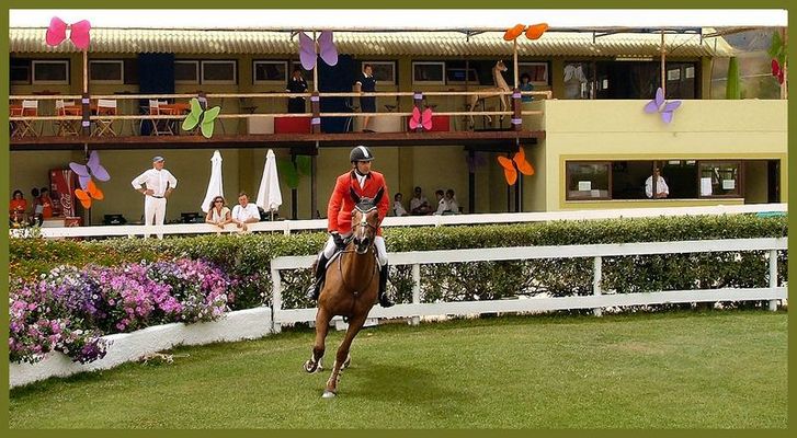 Ippica al Vimeiro 2007.