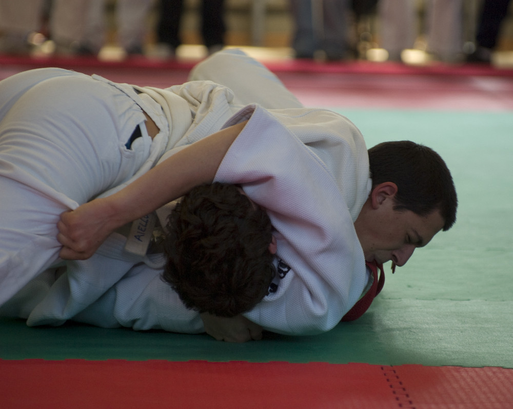 Ippon a terra