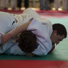 Ippon a terra