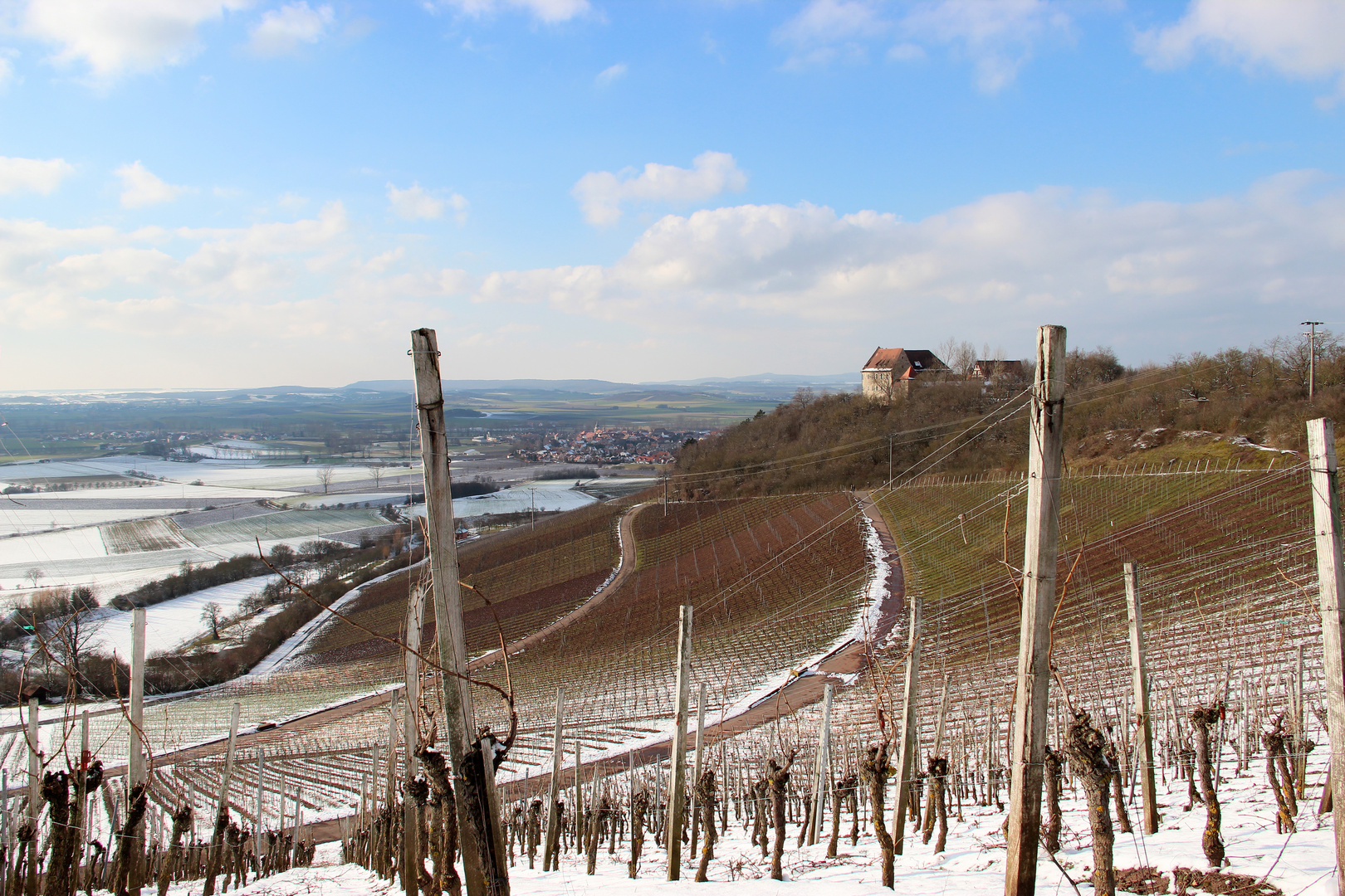 Ipsheimer Weinberge