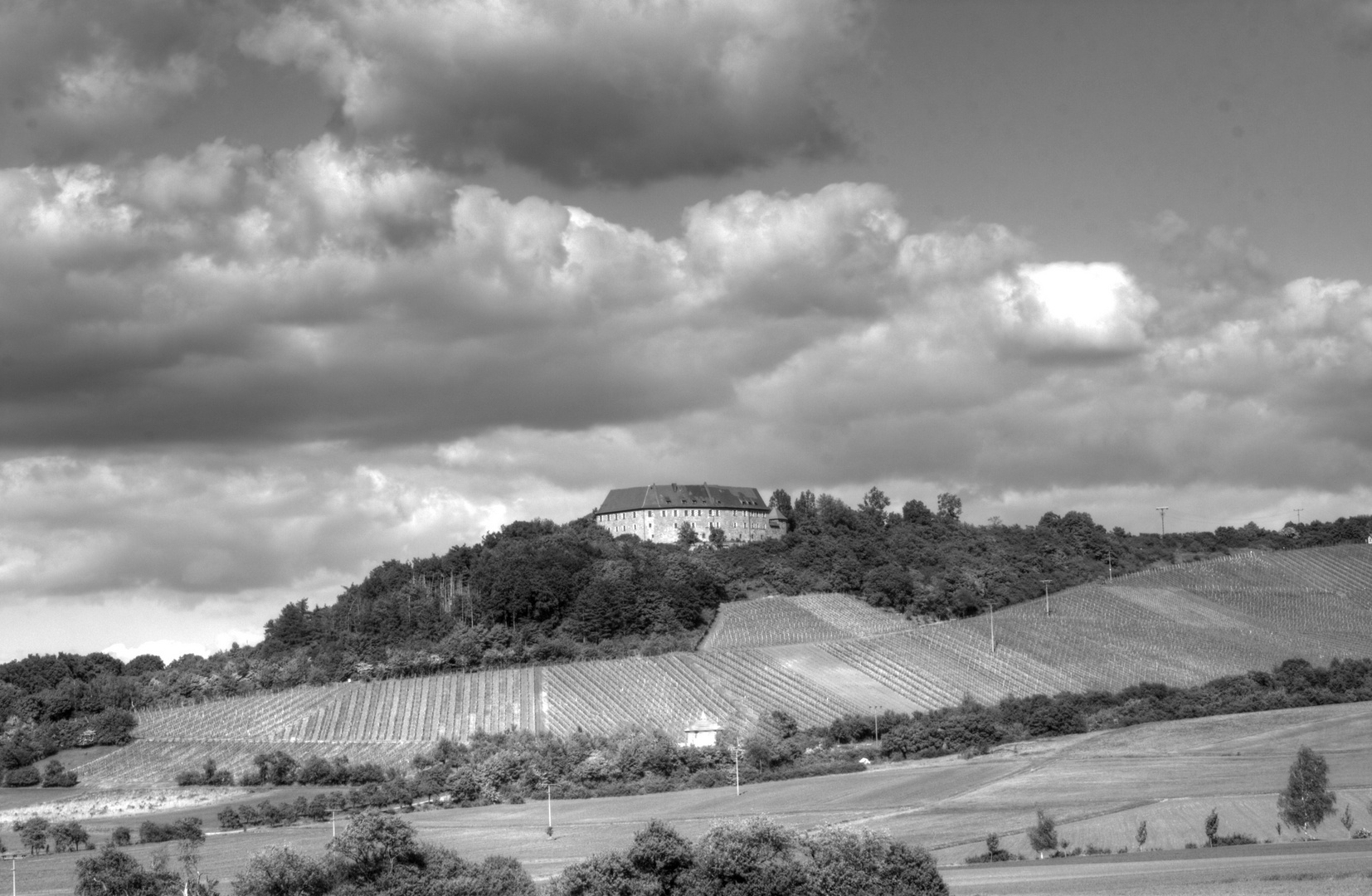 Ipsheimer Weinberge