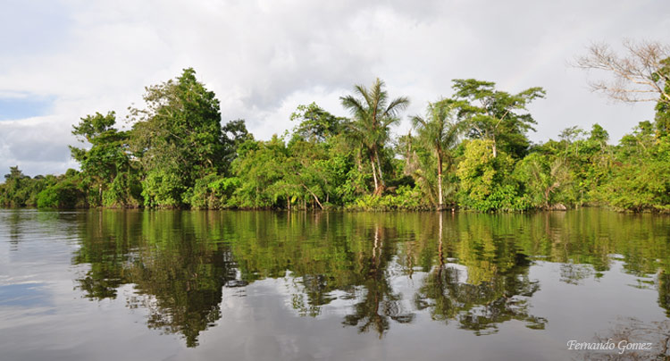 Iquitos