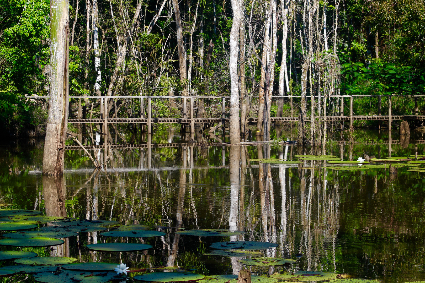 Iquitos, Perú