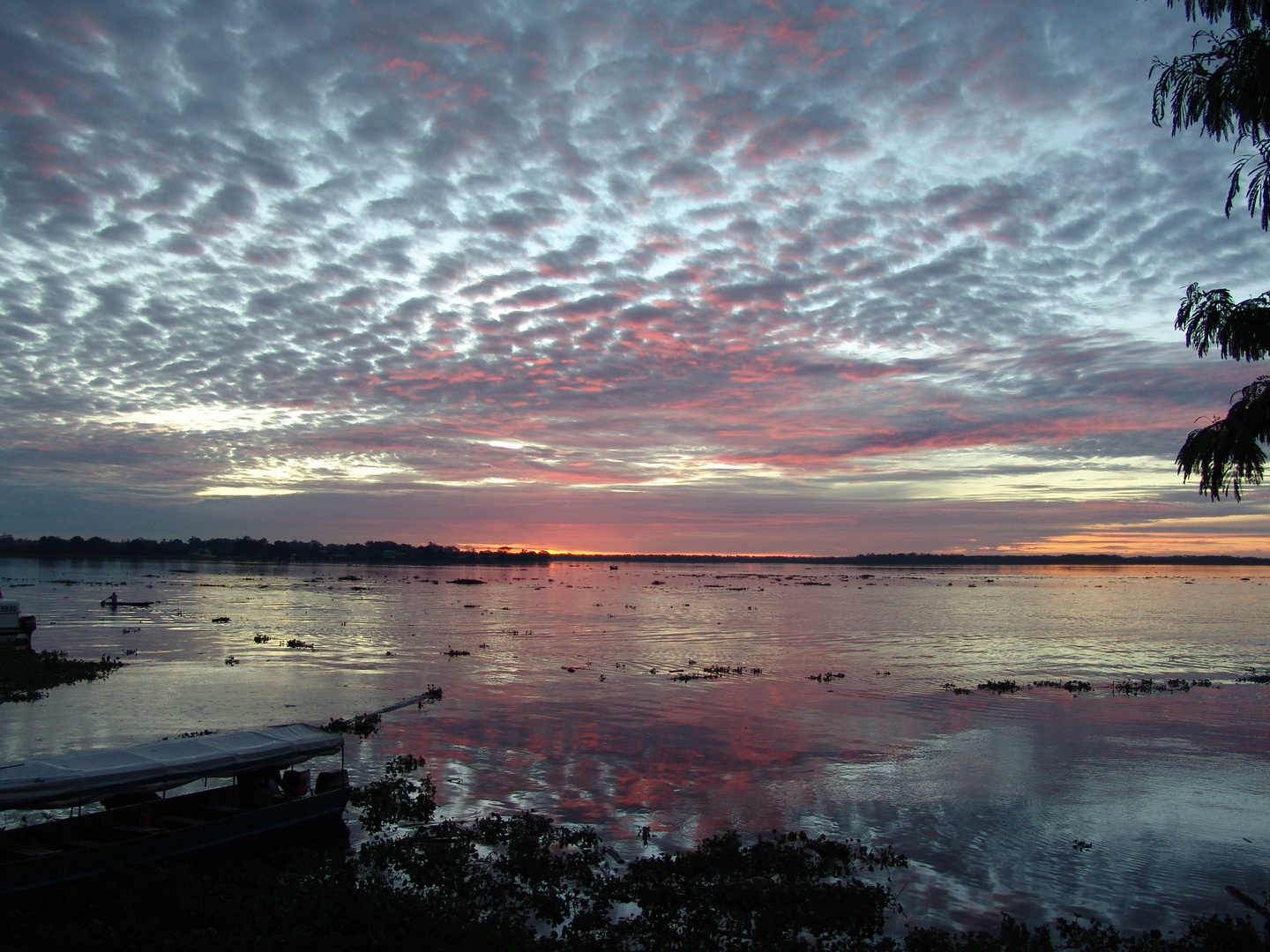 Iquitos/Peru